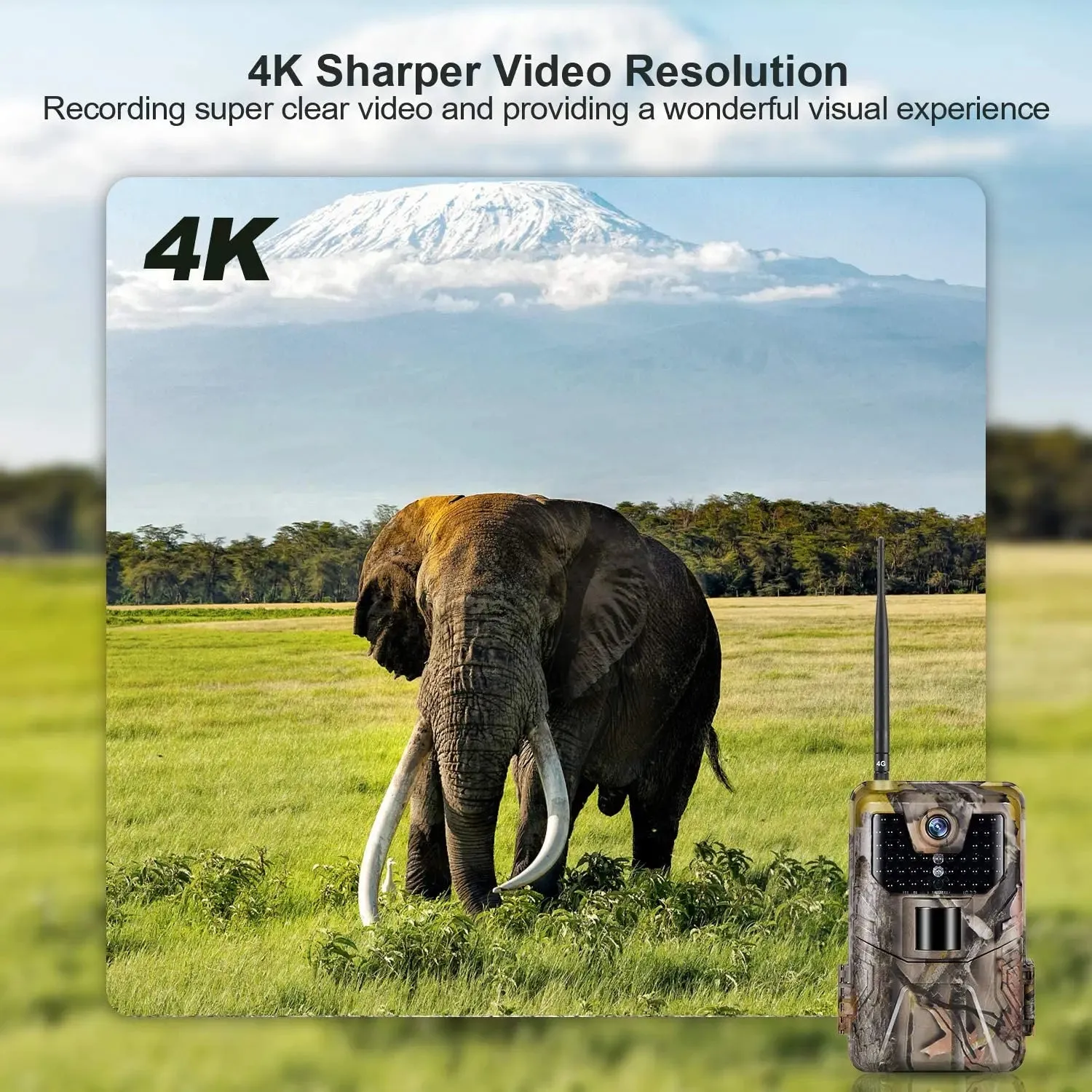 4K Live Video APP Trail Camera Cloud Service 4G 30MP Hunting Cameras Cellular Mobile Wireless Wildlife Night Vision Photo Traps